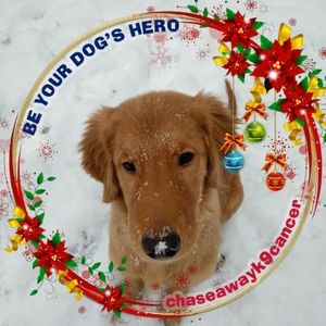 Meet your Posher, Jeffrey